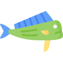 mahi mahi 