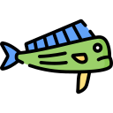 mahi mahi 