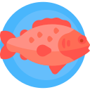 pescado rojo icon