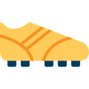 zapato icon