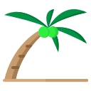 palmera de cocos icon