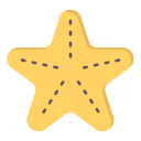 estrella de mar 