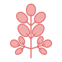 moringa icon