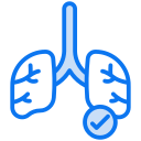 pulmones icon