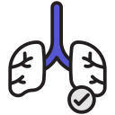 pulmones icon