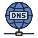 dns