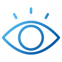 ojo icon