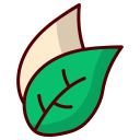 hoja icon