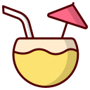 bebida de coco icon