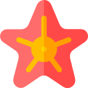 estrella de mar