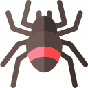 aranha 