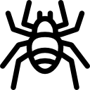 aranha 