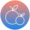 naranja icon