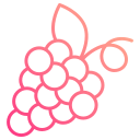 uvas icon