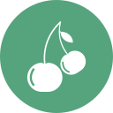 fruta icon