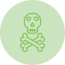 Skull and bones 