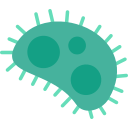 bacterias icon