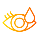 ojo icon