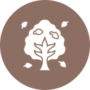 Árbol icon