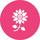 girasol icon