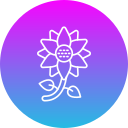 girasol icon