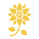 girasol icon