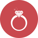 anillo icon