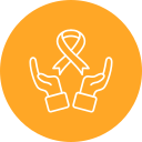 solidaridad icon