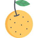 naranja icon