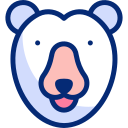 oso polar 