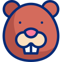 castor 