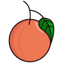 fruta icon