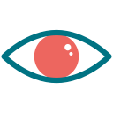 ojo icon