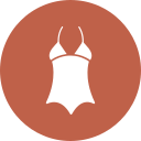 ropa icon