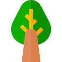 Árbol icon