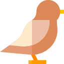 pájaro icon