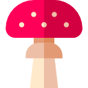 amanita