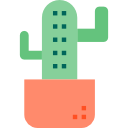 cactus icon