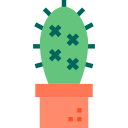 cactus icon