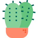 cactus icon