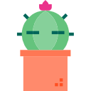 cactus icon