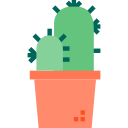 cactus icon