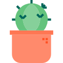 cactus icon