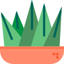 cactus icon