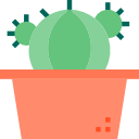 cactus icon