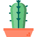 cactus icon