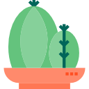 cactus icon