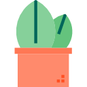 cactus icon