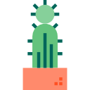 cactus icon