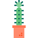 cactus icon